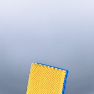 Fleetguard Air Filter AF25305