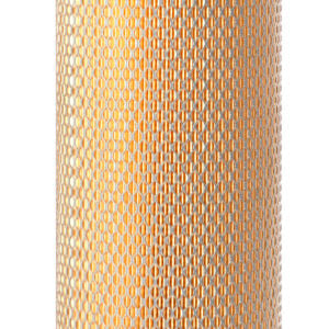 Fleetguard Air Filter AF25336