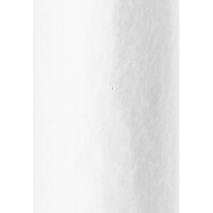 Fleetguard Air Filter AF25521
