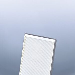 Fleetguard Air Filter AF25840