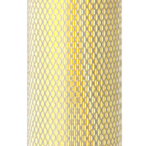 Fleetguard Air Filter AF490M