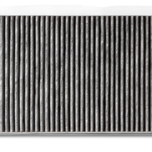 Fleetguard Air Filter AF55719