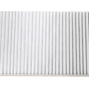 Fleetguard Air Filter AF55780