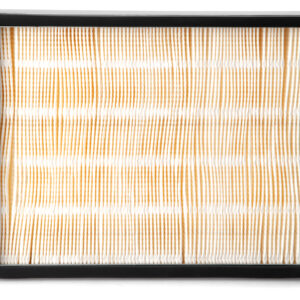 Fleetguard Air Filter AF55783