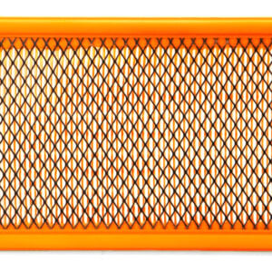 Fleetguard Air Filter-Cabin AF55792