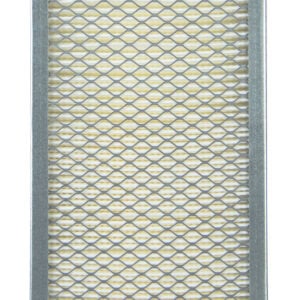Fleetguard Air Filter AF55798