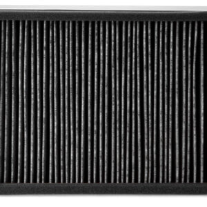 Fleetguard Air Filter-Cabin AF55881