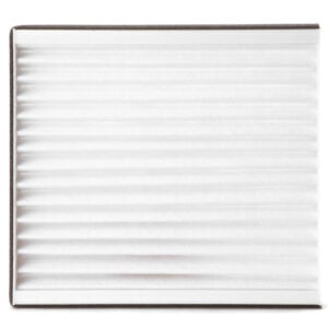 Fleetguard Air Filter-Cabin AF55884