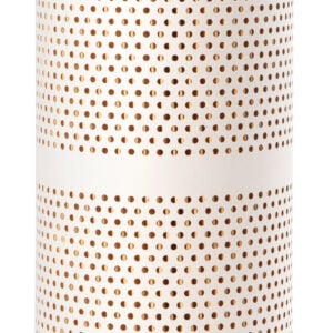Fleetguard Fuel Filter FF5251
