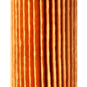 Fleetguard Fuel Filter FF5260