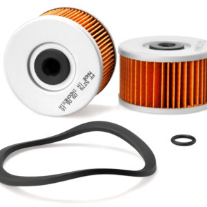 Fleetguard Fuel Filter FF5279