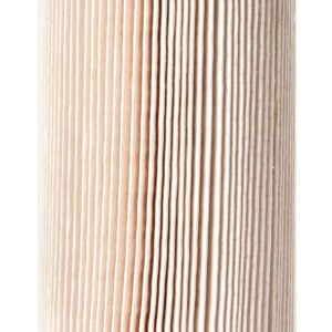 Fleetguard Fuel Filter Cartridge Plastic FF5858