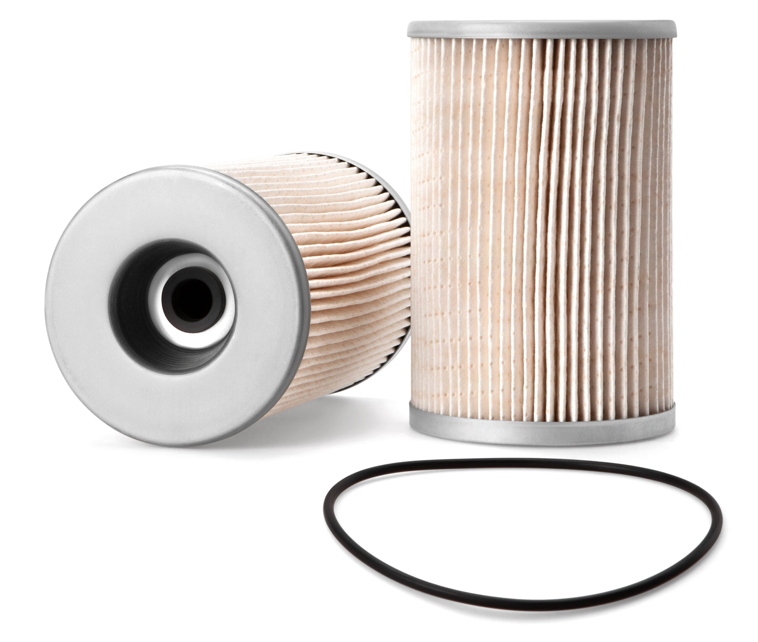Fleetguard Fuel/Water Separator Filter FS1011